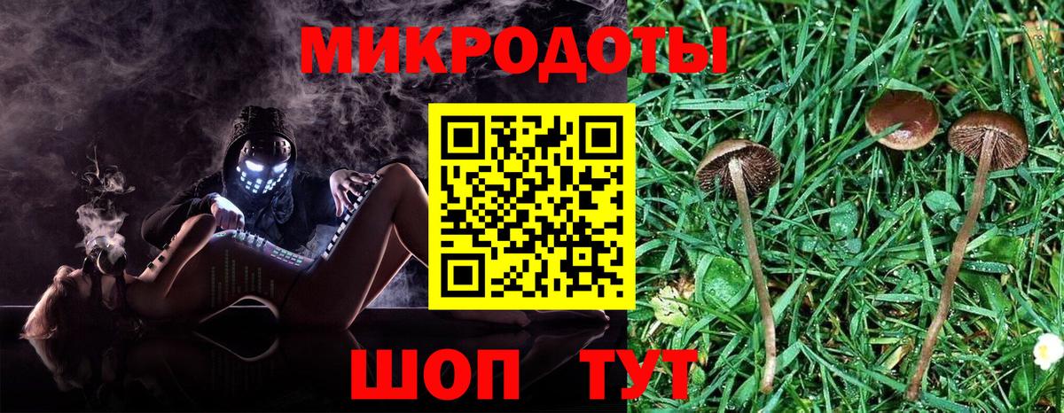 Псилоцибиновые грибы Psilocybe  Вход с VPN  Похвистнево 